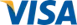 Visa payment card